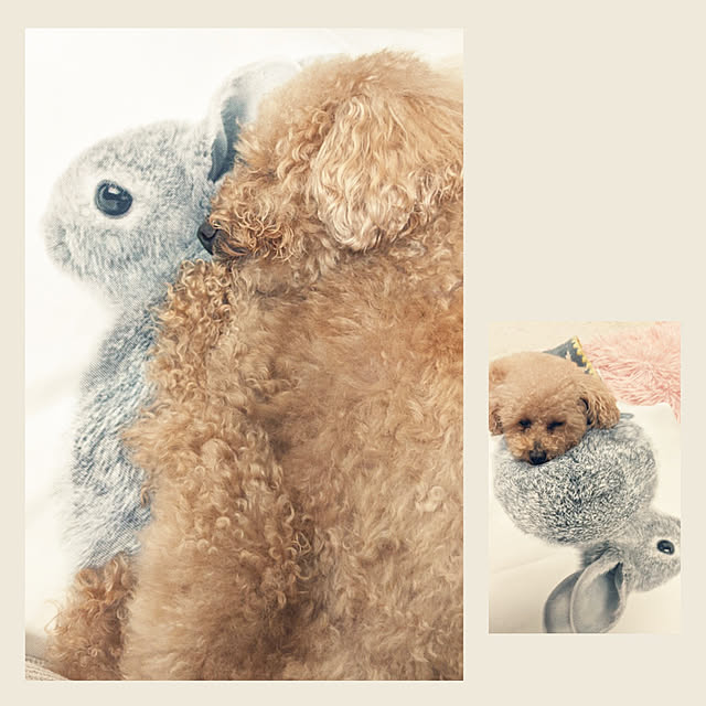 HIROMINさんの実例写真