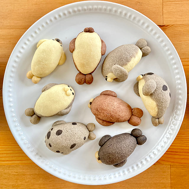 merutoさんの実例写真