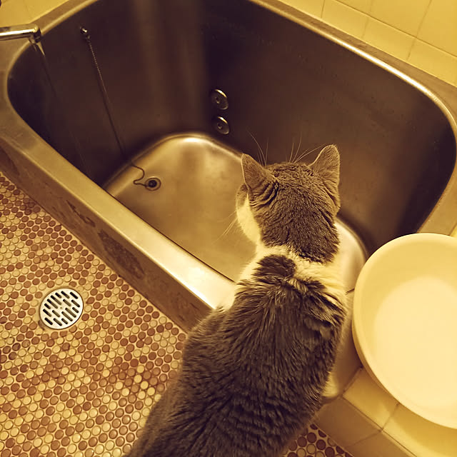 rhuさんの実例写真