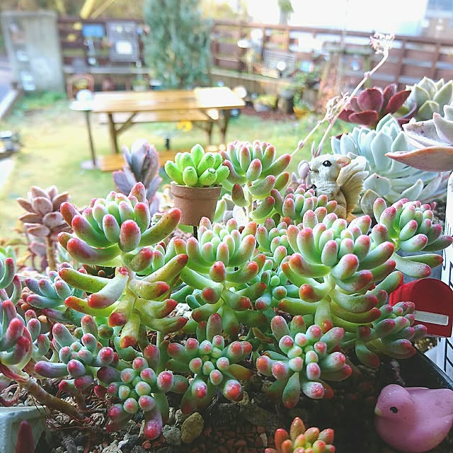 cocomilkさんの実例写真