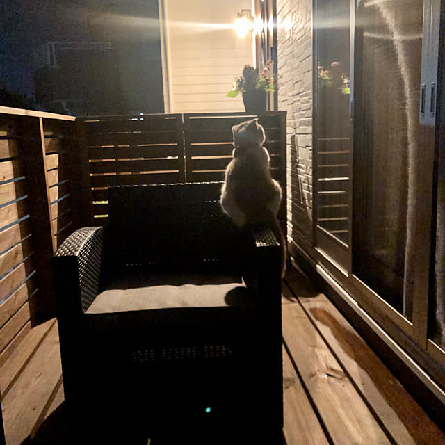 fukuさんの実例写真