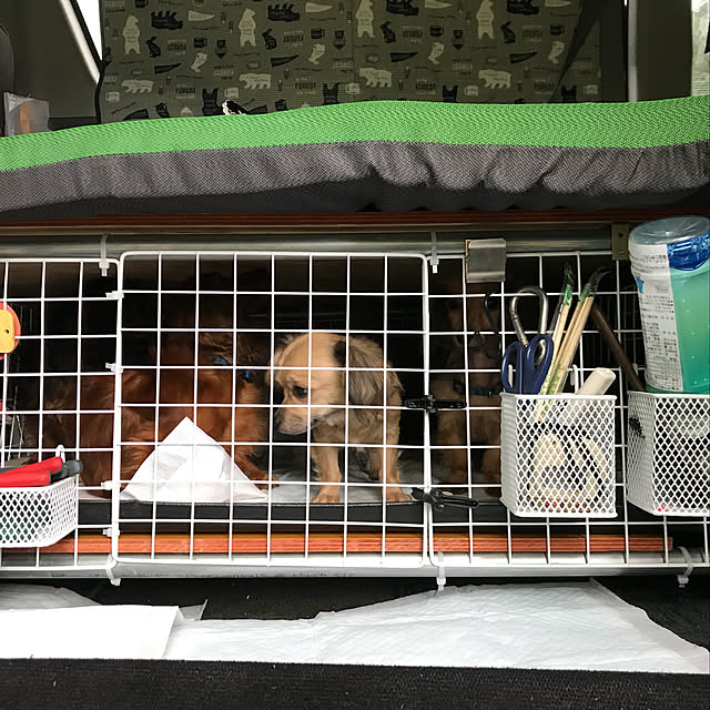 fredyさんの実例写真