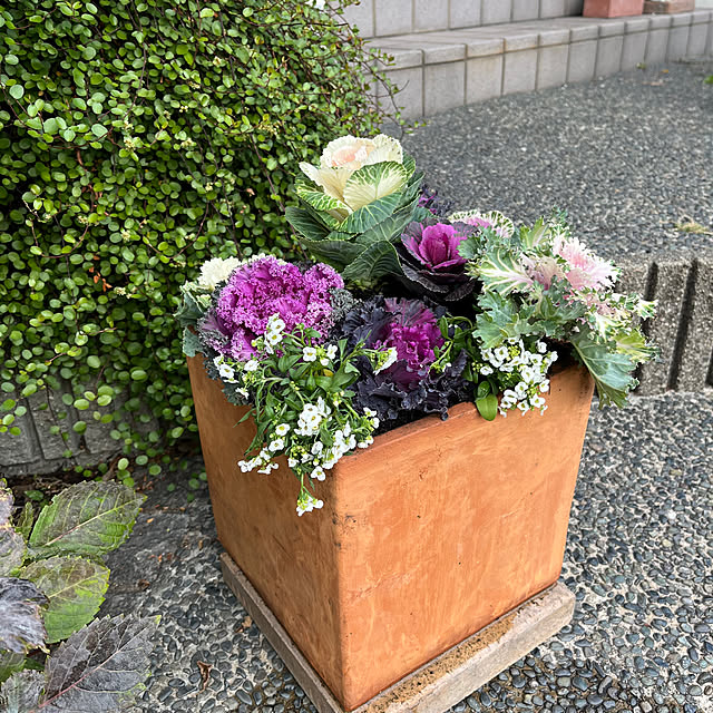 ritsukoさんの部屋