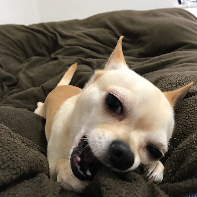 nacchintunnさんの実例写真