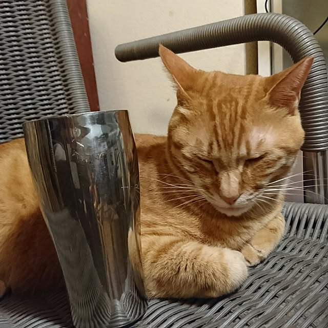 okyosan101さんの実例写真