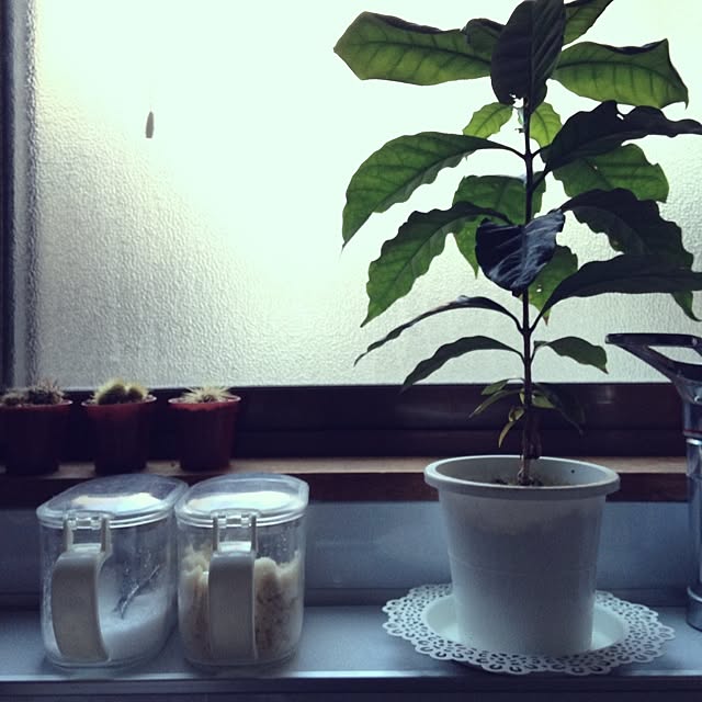 Minamiさんの実例写真