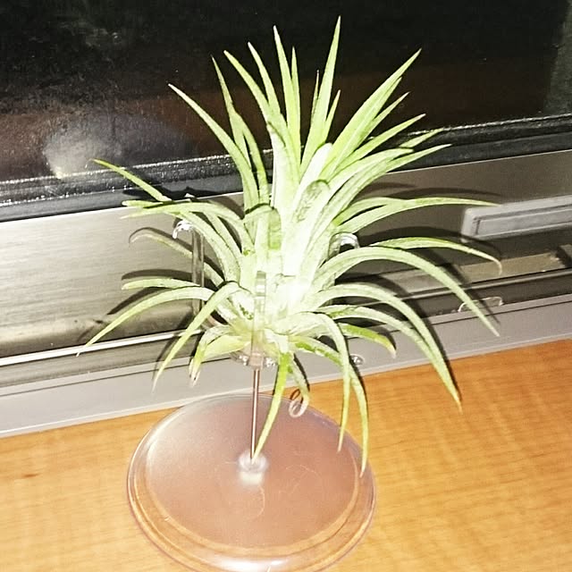 hideさんの実例写真