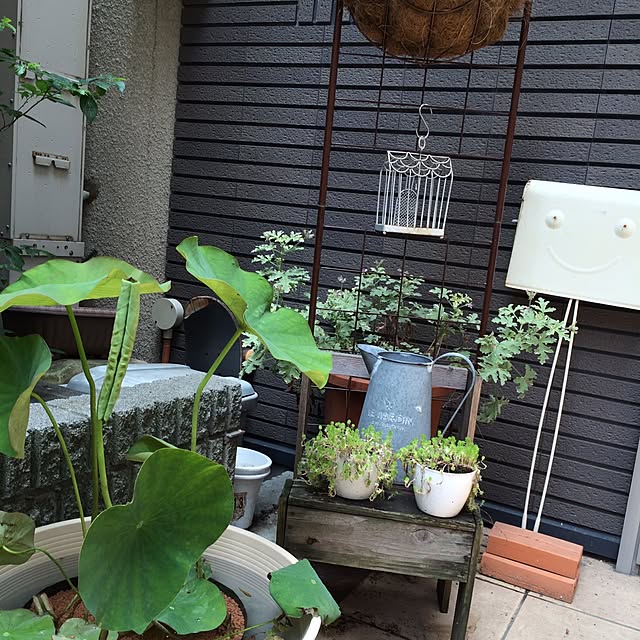 iro.iro_otenki.yaさんの実例写真