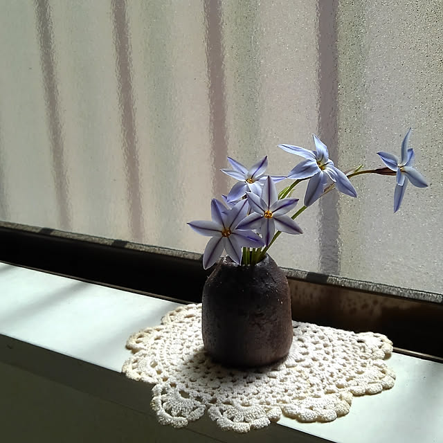 Renさんの実例写真