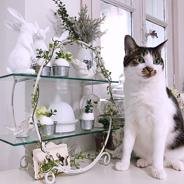 yuchiさんの実例写真