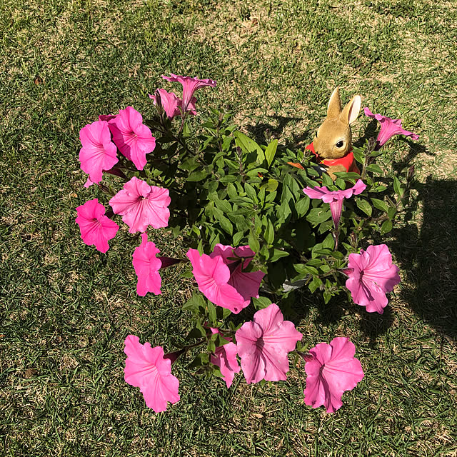 aityさんの実例写真