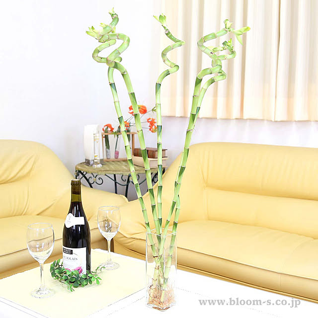 BloomingScapeさんの実例写真