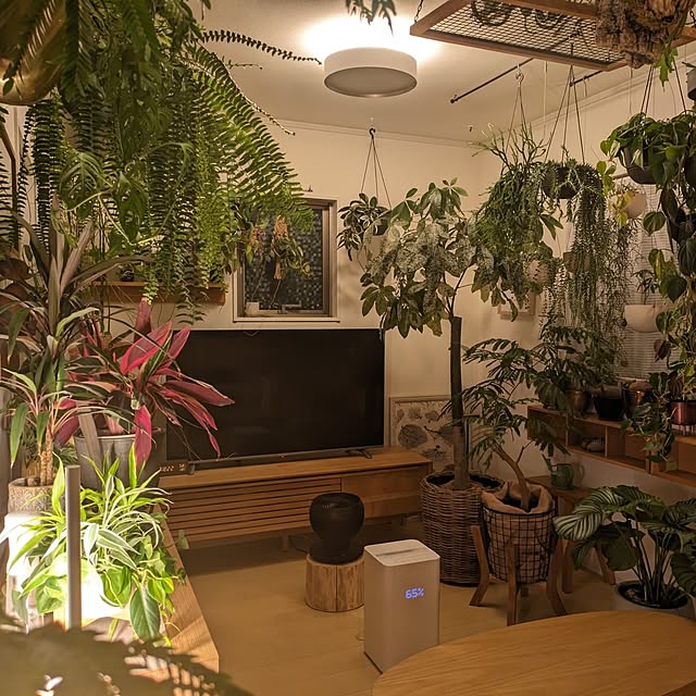 ayamameさんの部屋