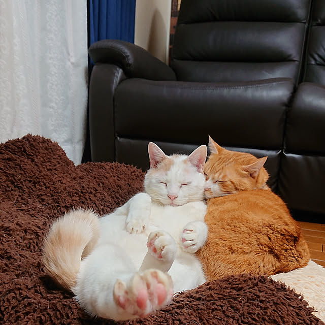 NOAHさんの実例写真