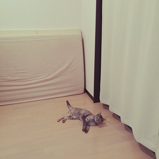Hiroshiさんの実例写真
