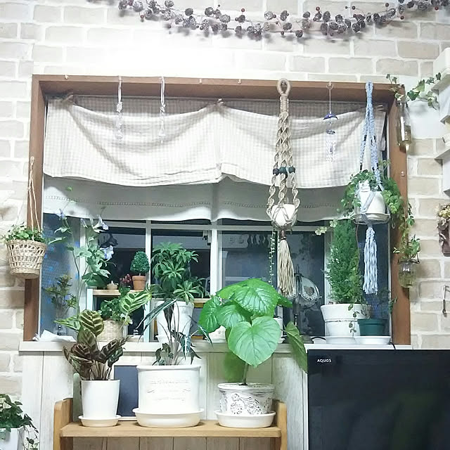 naopyiさんの実例写真