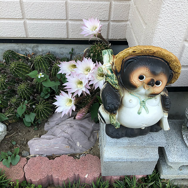 marichandayoさんの実例写真