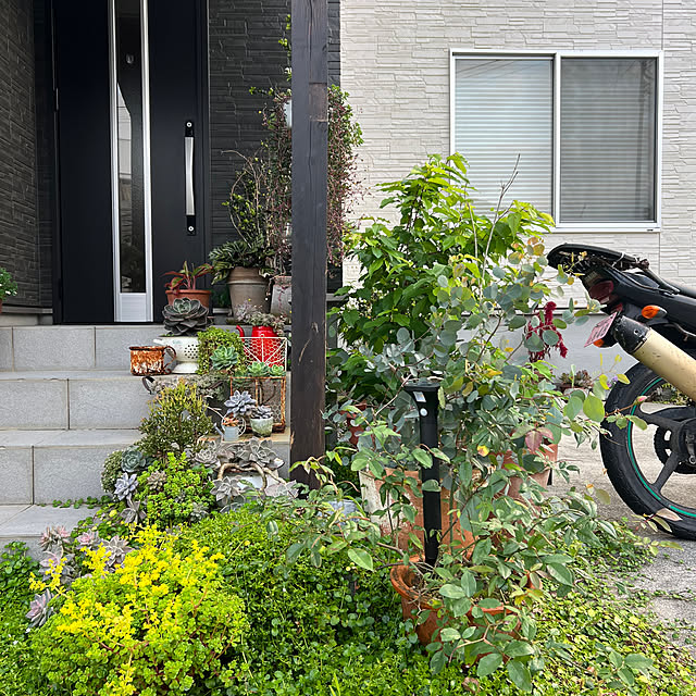 coraruさんの実例写真