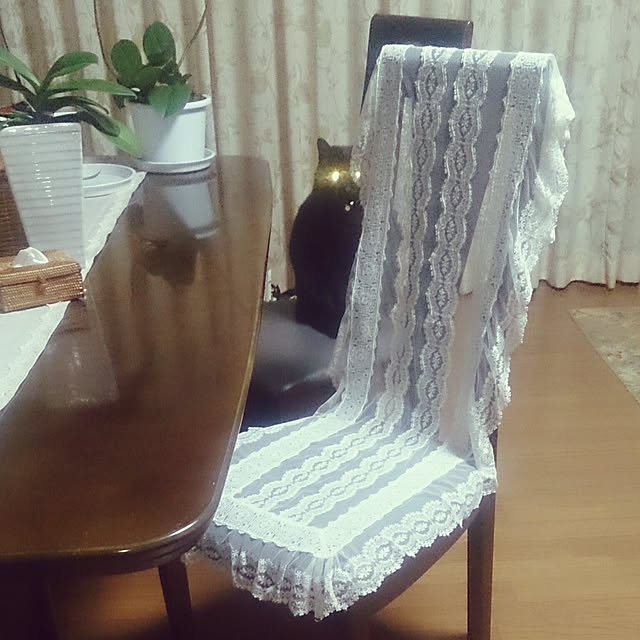 junkn6さんの実例写真