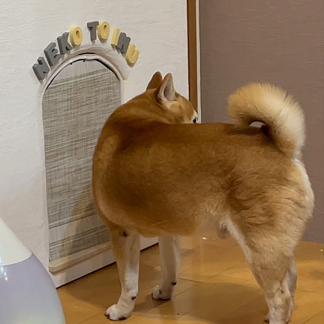 POMERUNさんの実例写真