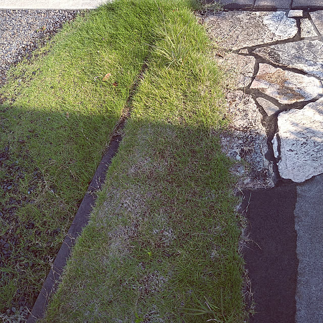 m1eriさんの実例写真