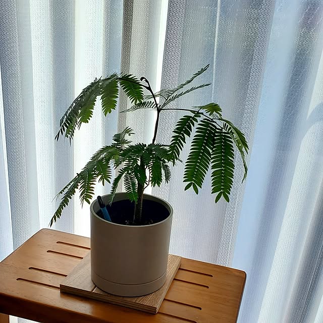 tokkiさんの部屋