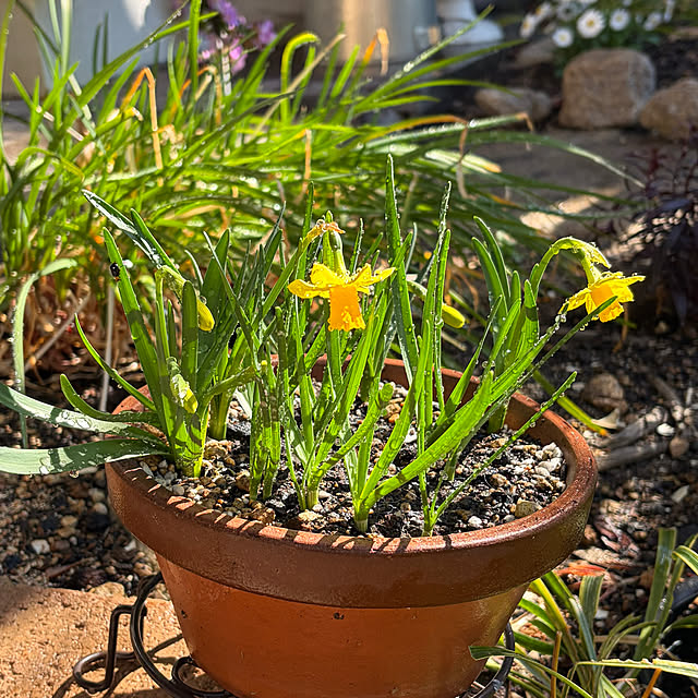 mozukuさんの実例写真