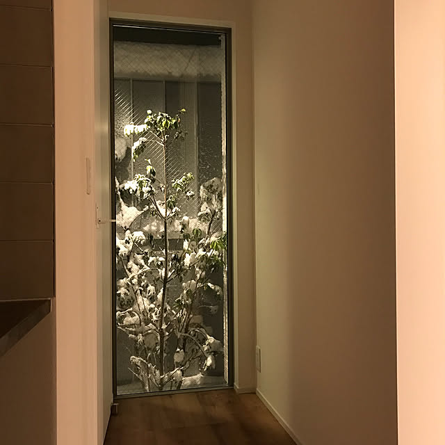 iduminさんの実例写真