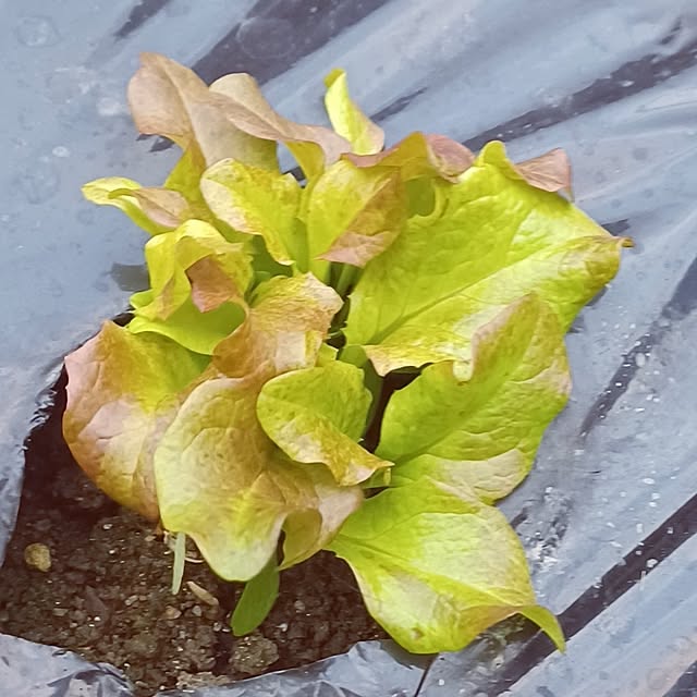 hiro.904さんの部屋