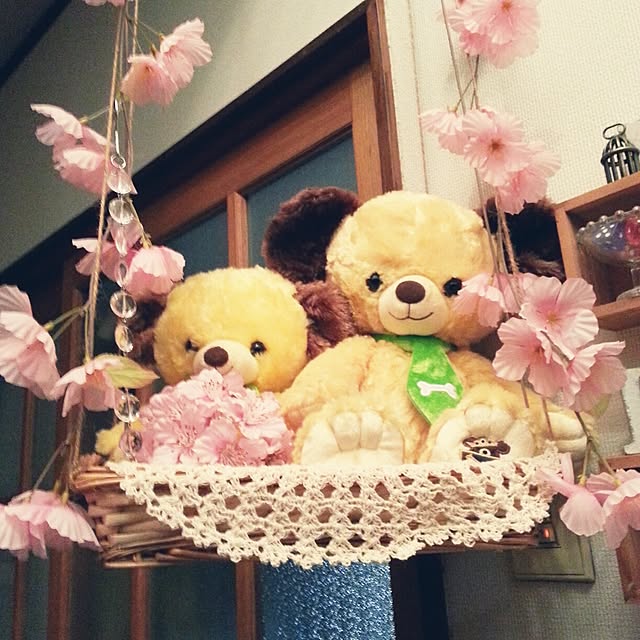 mayuさんの実例写真