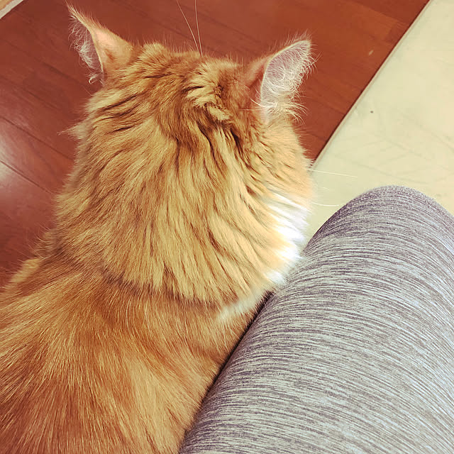 uchidaizuさんの実例写真