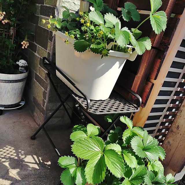 ameamekaasanさんの部屋