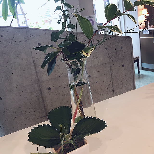 kimponさんの実例写真