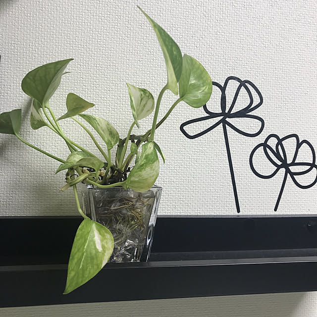 miaさんの実例写真