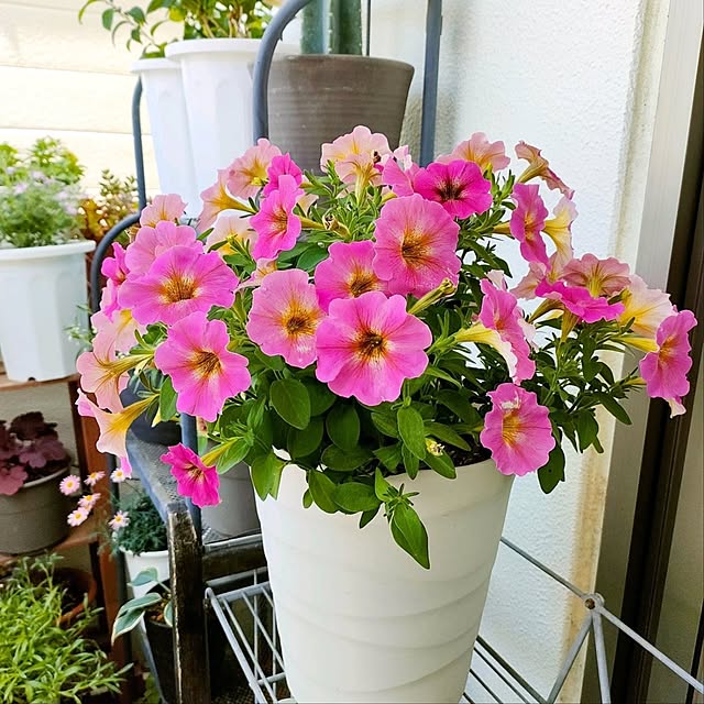 VERANDARJUNさんの実例写真
