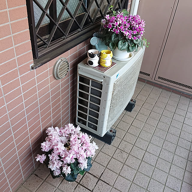 okyosan101さんの実例写真