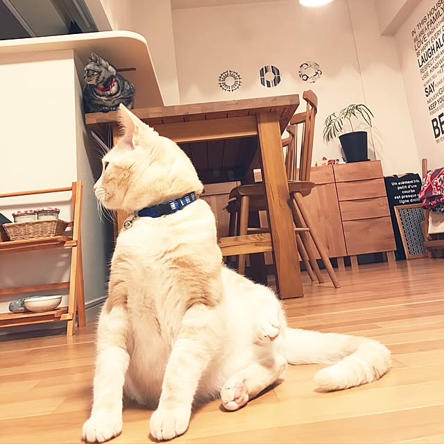 hiyupan88さんの実例写真