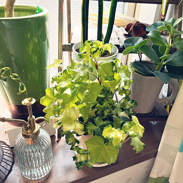 ayayayayaさんの部屋