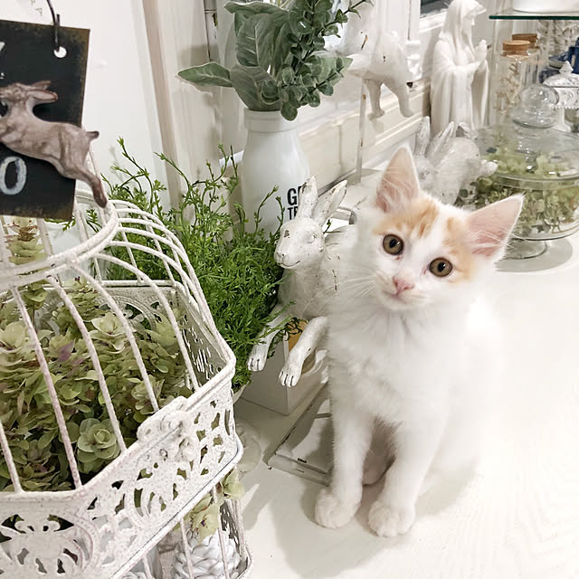 yuchiさんの実例写真