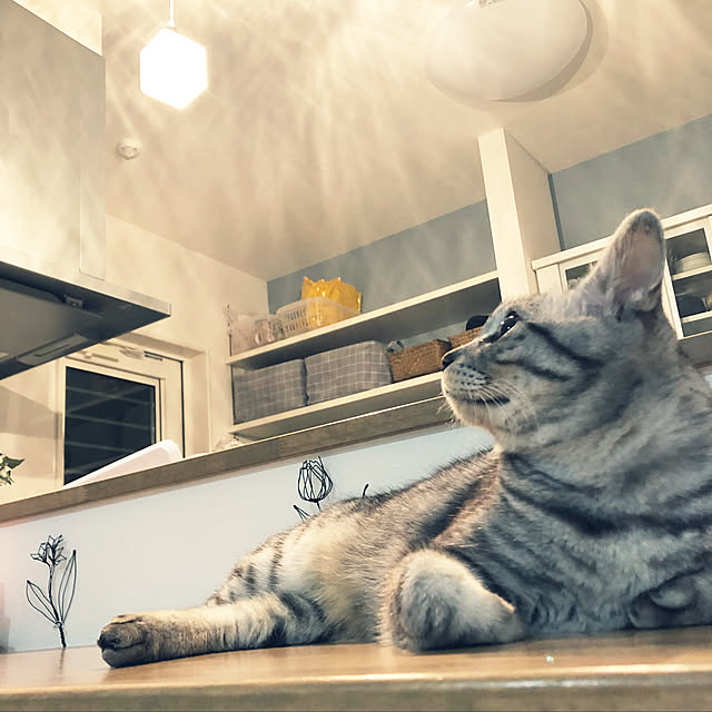 syrnuu946さんの実例写真
