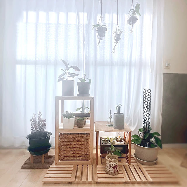 Ritsuさんの実例写真