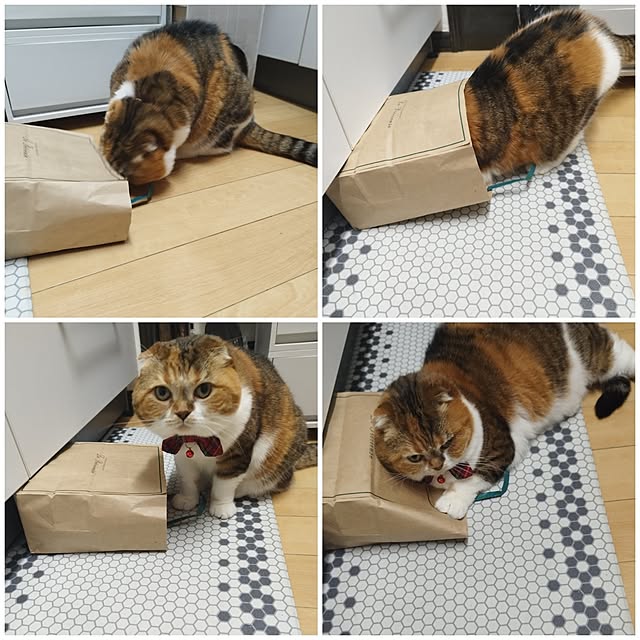hiro3さんの部屋