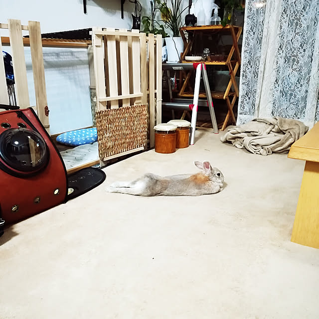 sachiko283さんの実例写真