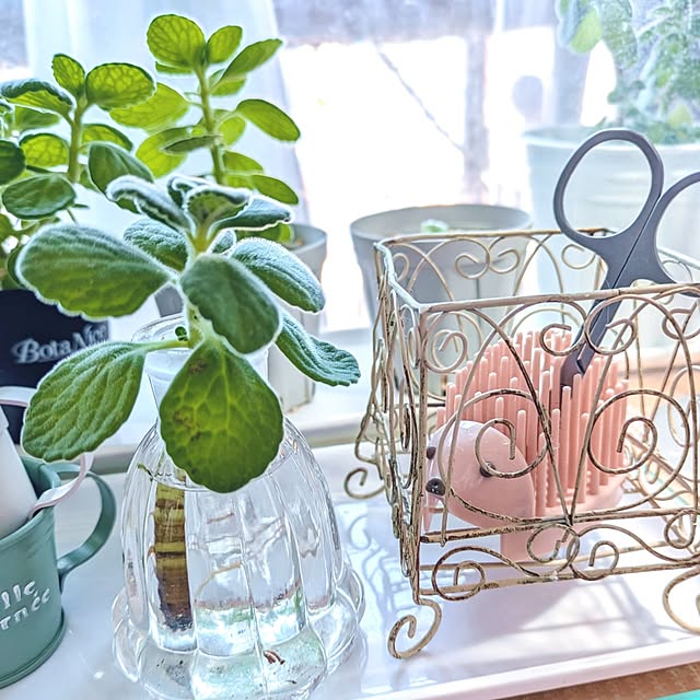 mi-saさんの部屋