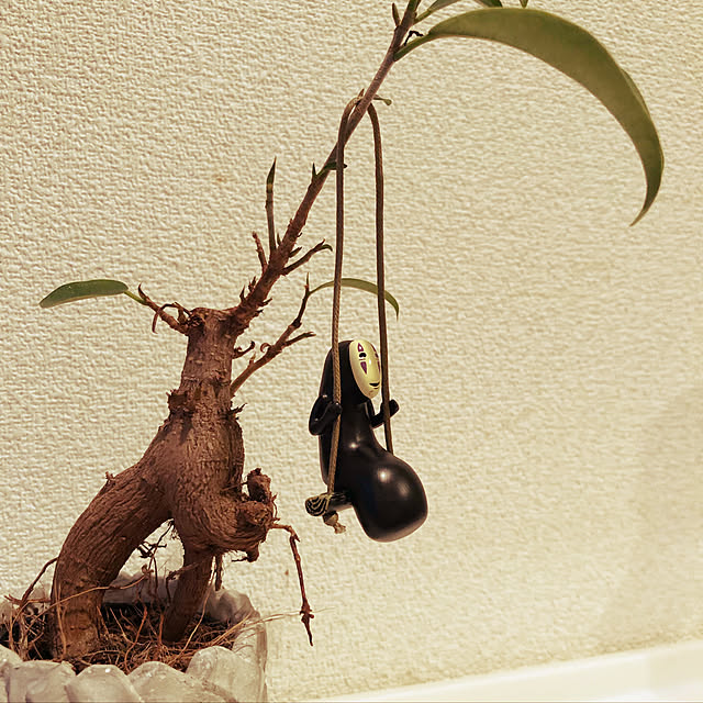 corocoroさんの実例写真