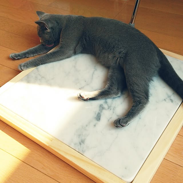 tittaさんの実例写真