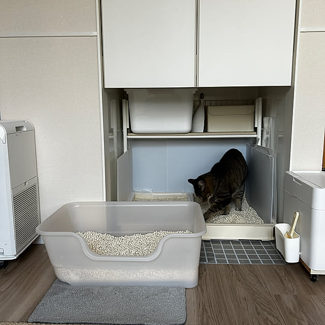 mikomaruさんの部屋