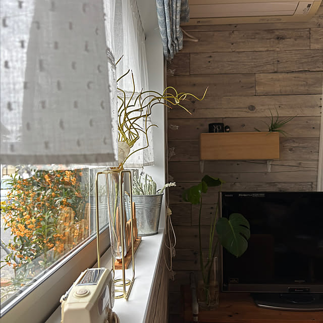 pさんの実例写真