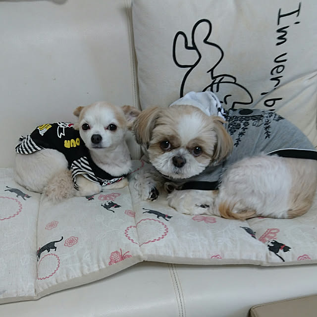 ronさんの実例写真