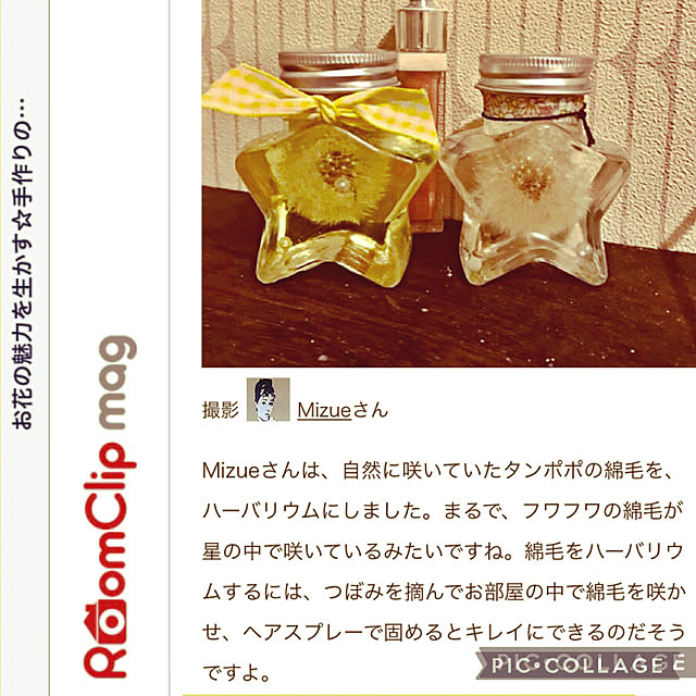 Mizueさんの実例写真